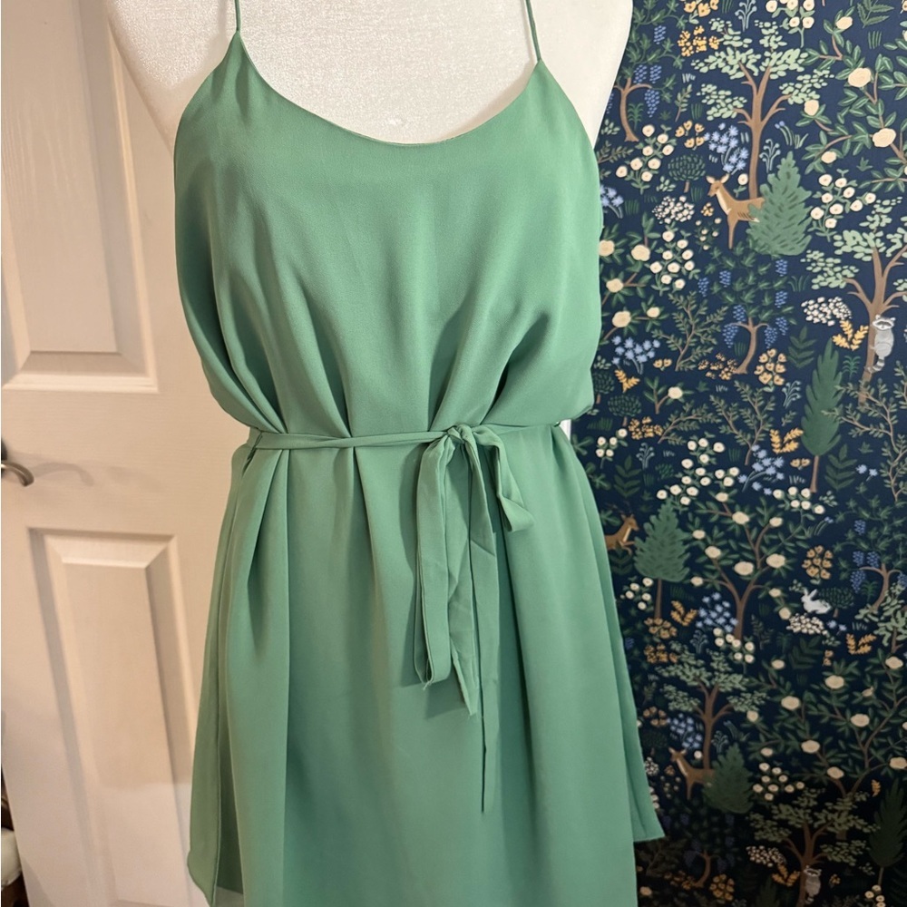 Naked Zebra Teal Mini Dress​ - Picture 2 of 5